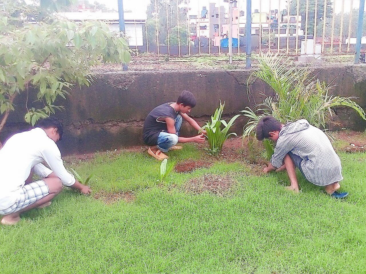 Go For Solution Foundation (GFSF)