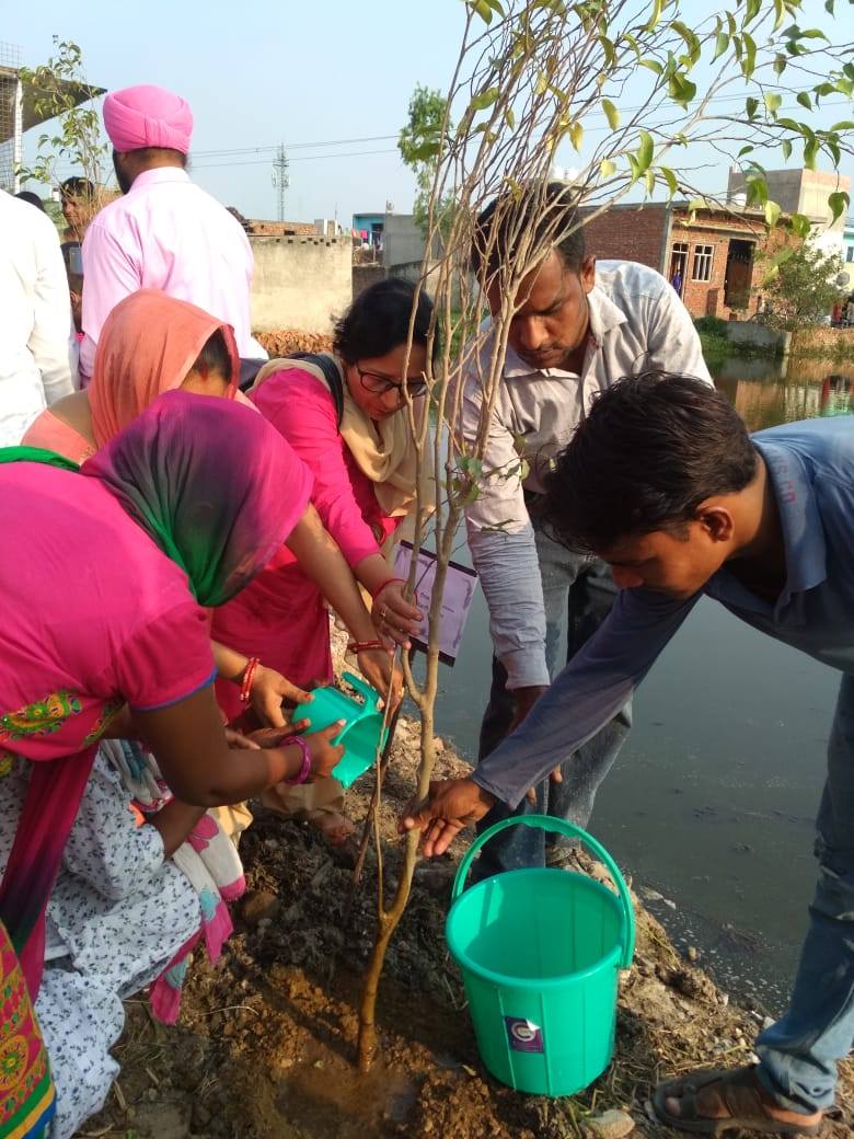 Go For Solution Foundation (GFSF)